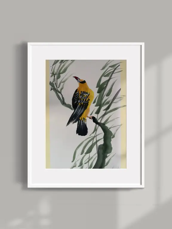 Image for oriole