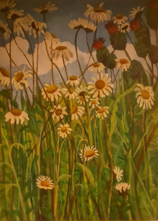 Image for Giant Wild Daisies