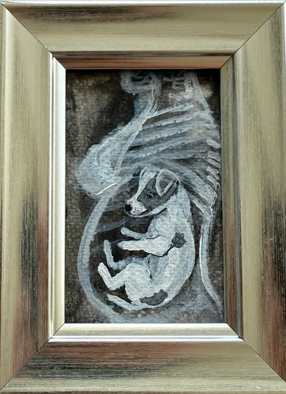 Image for Jack Russel human’s son