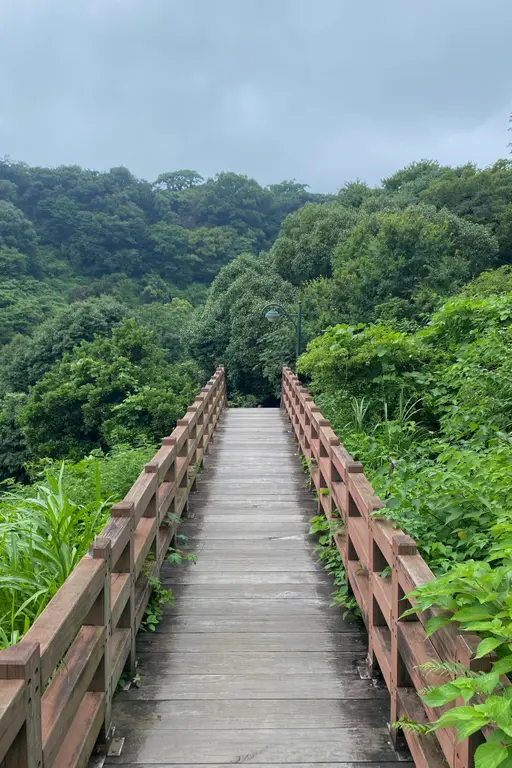 Image for Jeju Island