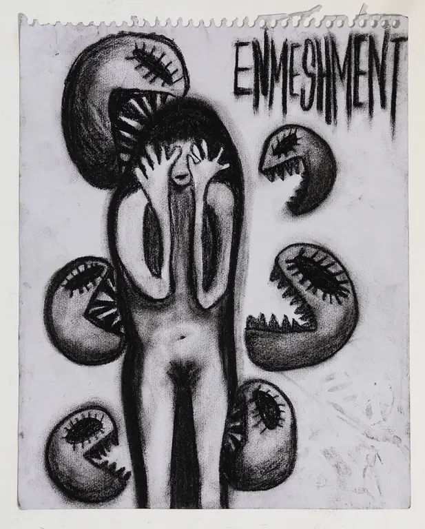 Image for Enmeshment