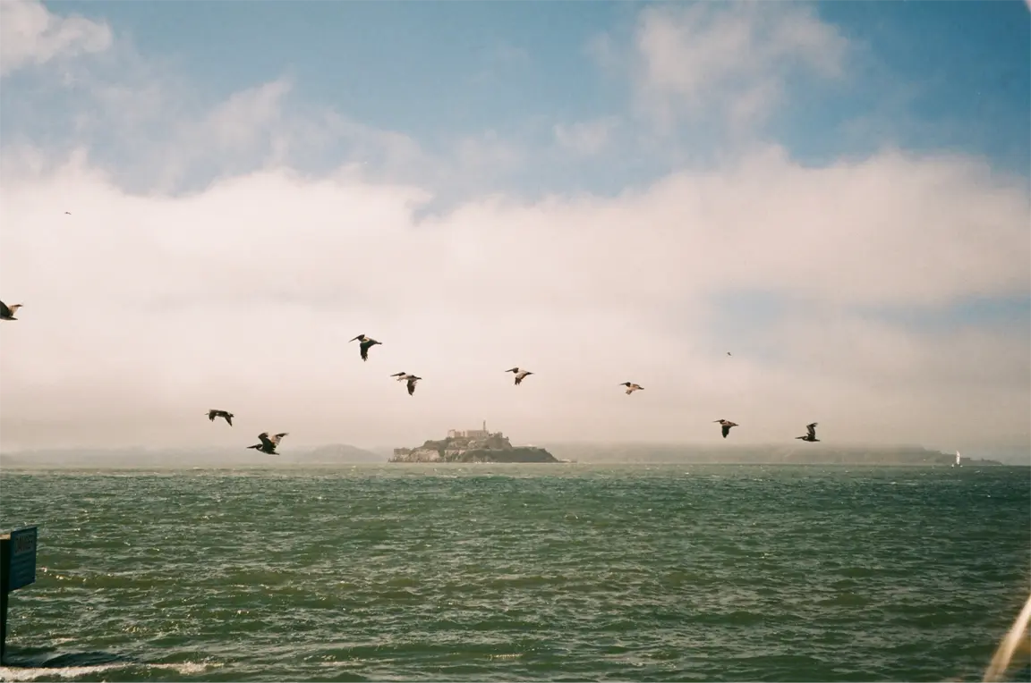 Image for alcatraz