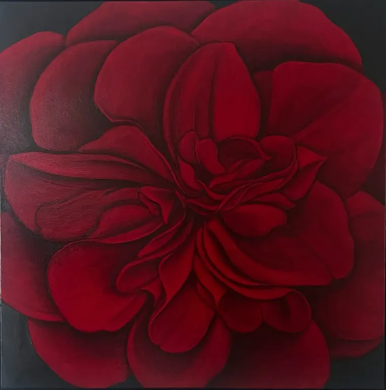 Image for Red Camellia at Night