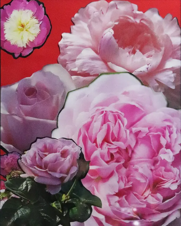 Image for Rose Garden