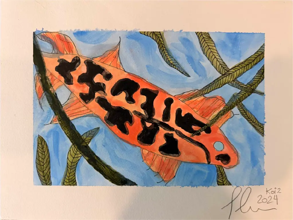 Image for Koi 2
