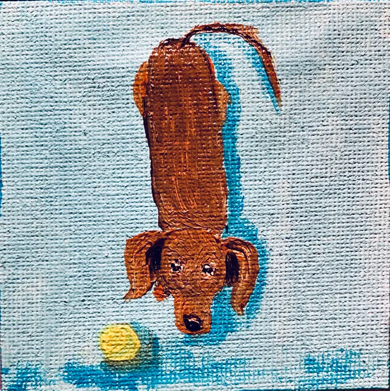 Image for Dachshund