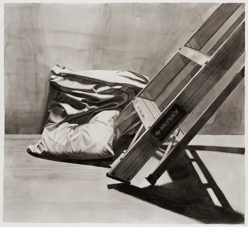 Image for Pillow With Step Ladder