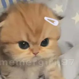 Avatar for Kakashi Hatake