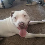 Avatar for Don Nurex