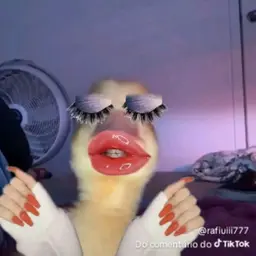 Avatar for Luciano duarte