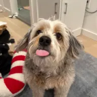 Avatar for David Wozniak