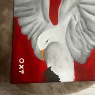 Avatar for Mathys Duez