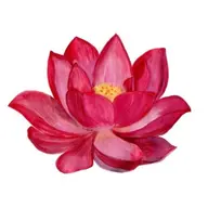 Avatar for Raj Kumar