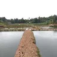 Avatar for Herii Susantoo