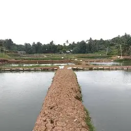 Avatar for Herii Susantoo