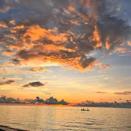 Avatar for Mary Jane